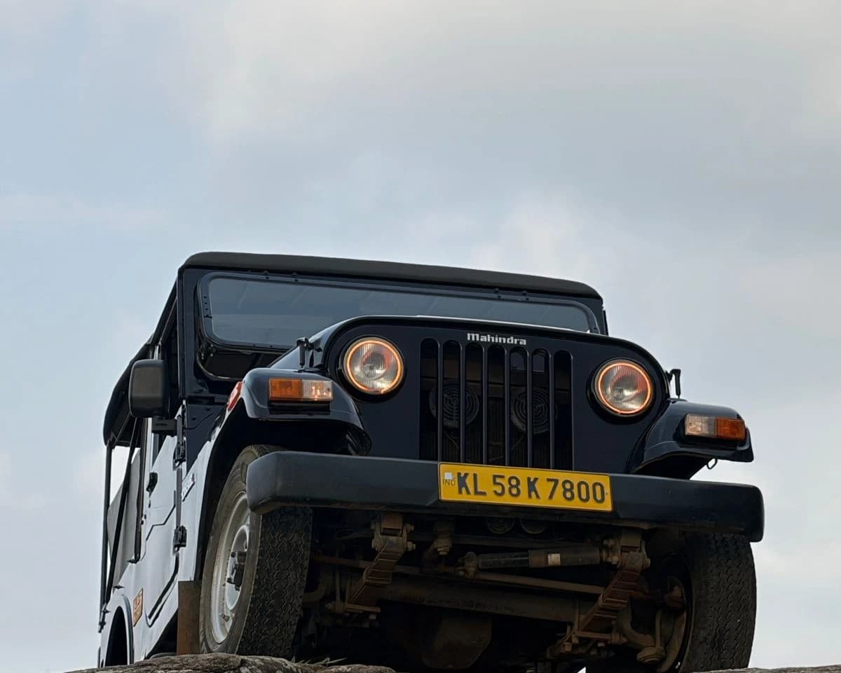 Low-angle view of the Team Soul Thar on a rock