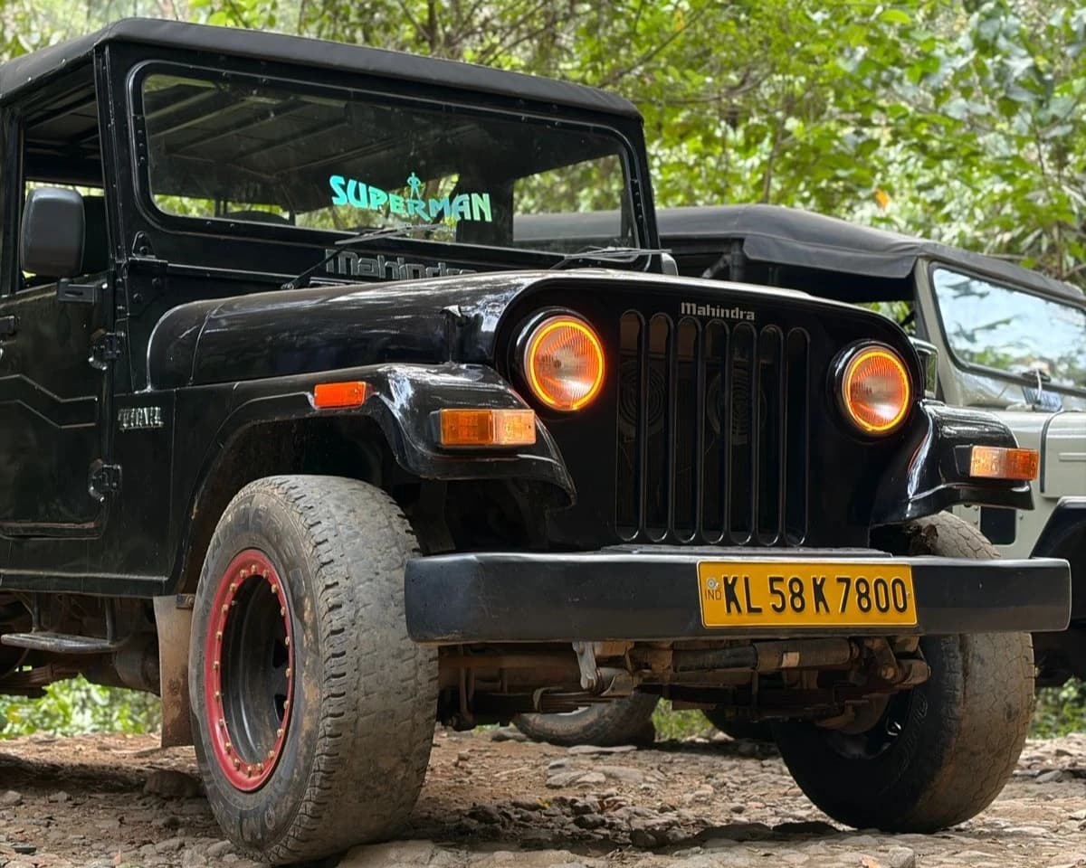 Safari jeeps lined up on a forest trail