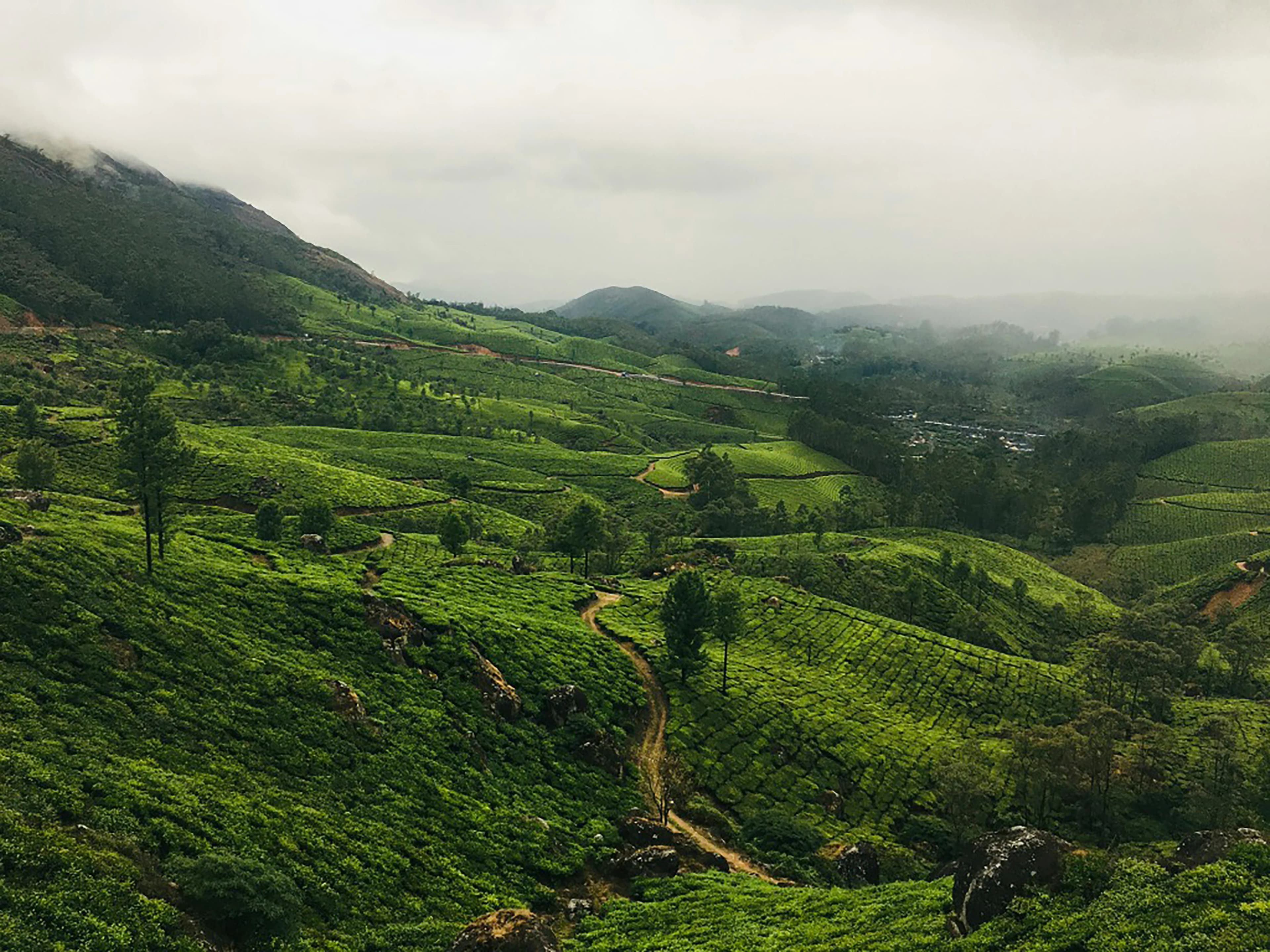 Uluppuni Off-Road Expedition